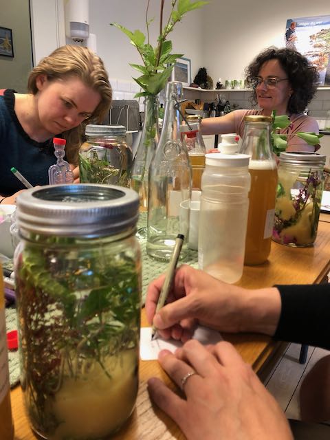 Lage starter for Mjød