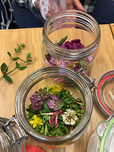 Vilde vekster som ingrediens